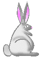 a_bunny.gif (7898 bytes)