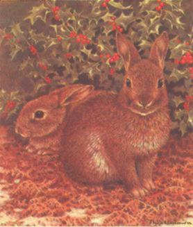 bunny6.jpg (18456 bytes)