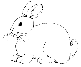 bunnyclip.gif (2626 bytes)