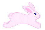 rabbit1.gif (2174 bytes)