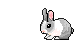 rabbit2.gif (10157 bytes)